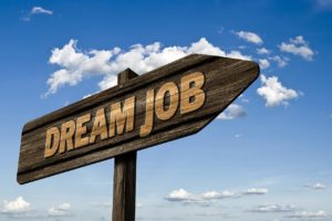 Que cherche-t-on quand on cherche son job idéal ?